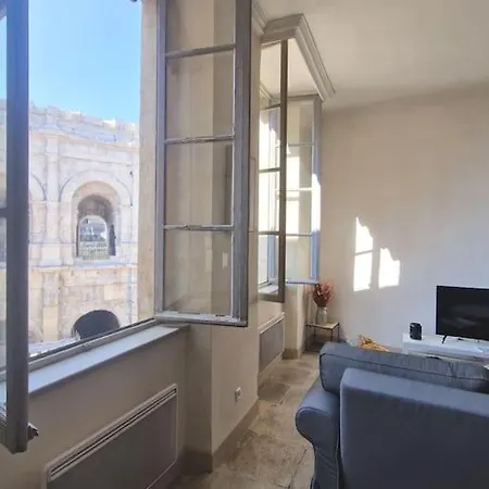 L'appartement Des Arenes 公寓 *